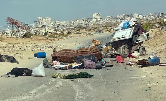 Noticias del miércoles: dos años de guerra en Gaza, olivos en Cisjordania y mujeres pioneras