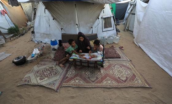 Plan de paz para Gaza, refugiados y derechos humanos en Afganistán: noticias del lunes