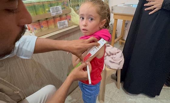 Experta independiente afirma que el genocidio en Gaza no fue cometido solo por Israel