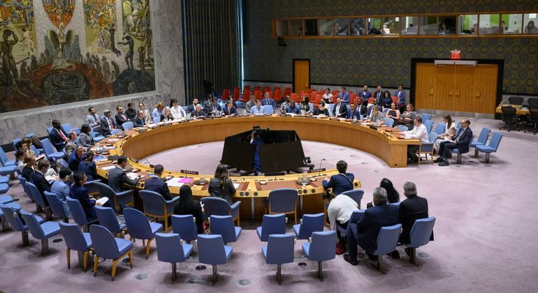 Consejo de Seguridad reduce mandato de la Misión de la ONU en Colombia