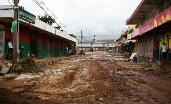 Jamaica, cambio climático, protección de bosques tropicales y Gaza: noticias del jueves