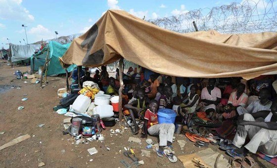 Kordofán no debe convertirse en otro El Fasher, afirma el Alto Comisionado de las Naciones Unidas para los Derechos Humanos