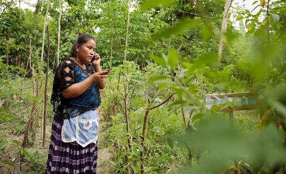 Mujeres indígenas denuncian aumento de la violencia digital en América Latina