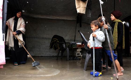 Gaza, ataque en Sídney e hipertensión: noticias del lunes