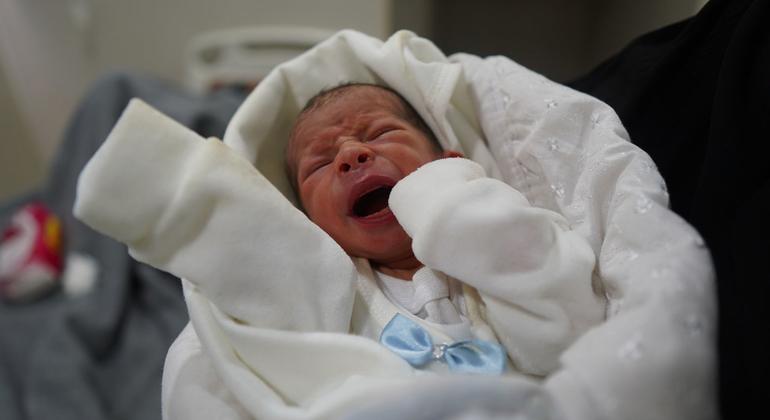 Desnutrición en bebés de Gaza vinculada al conflicto