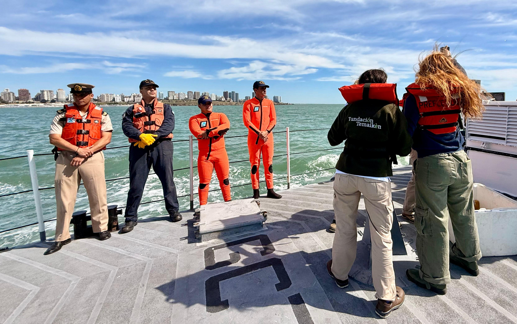 Prefectura devolvió una tortuga verde marina a su hábitat natural en Mar del Plata