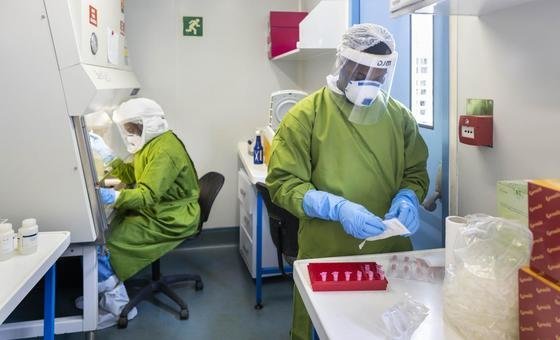 Según la OMS, el riesgo de expansión del brote de Nipah en India es bajo