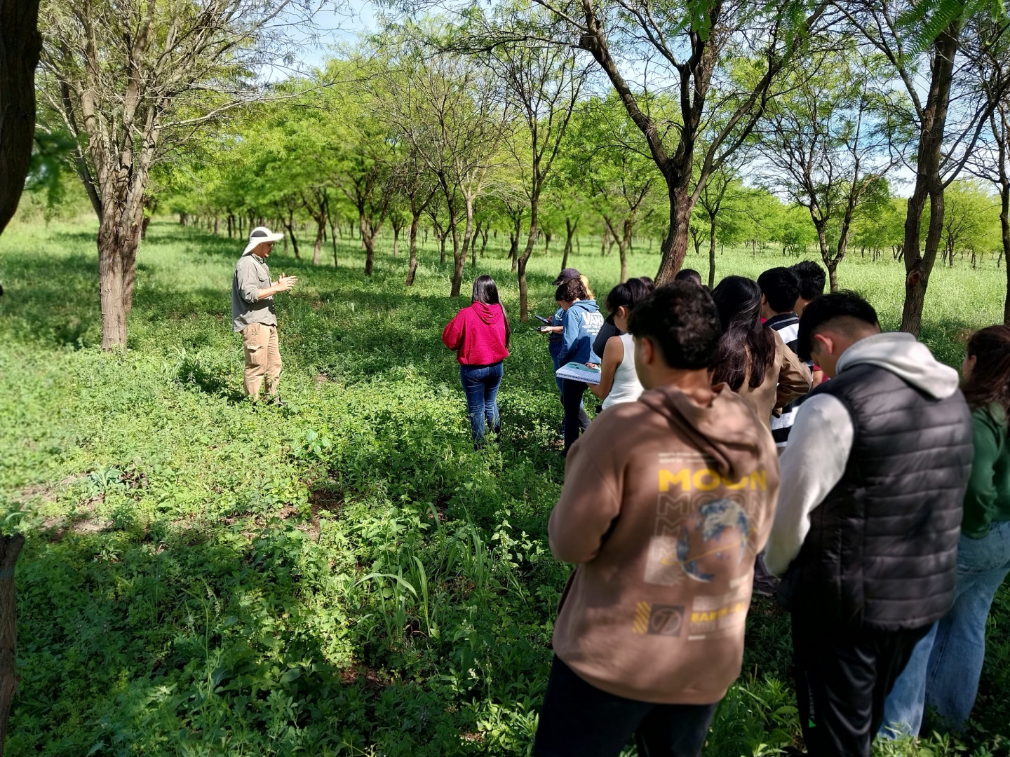 Ensayo de algarrobos nativos en Laguna Naineck, Formosa