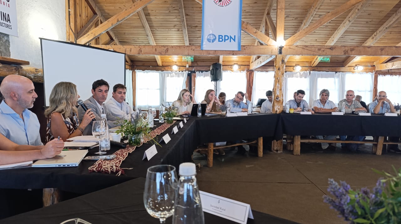 Mesa Consultiva Pecuaria de la Patagonia analiza la agenda sanitaria y comercial