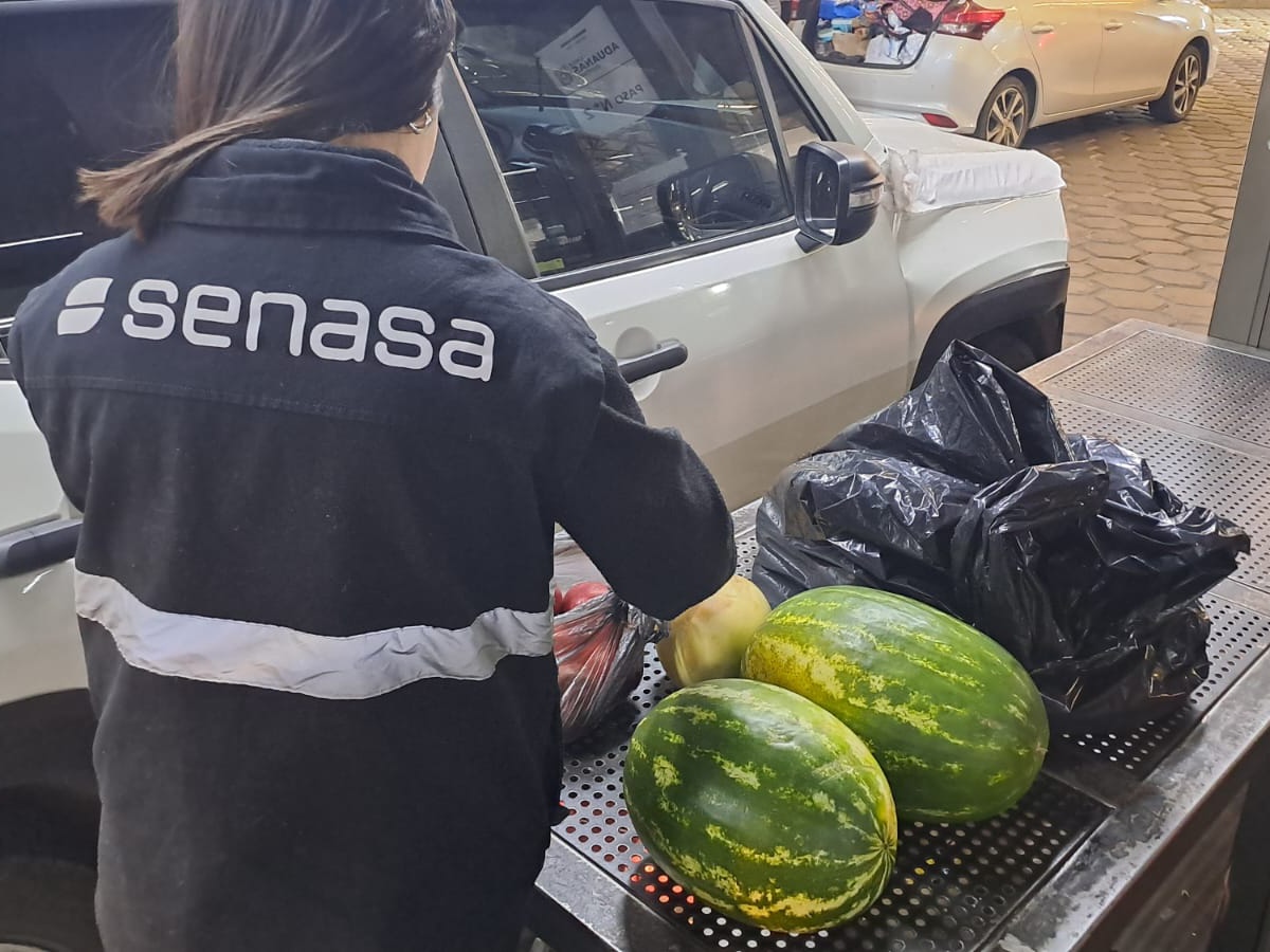 Argentina y Chile fortalecen cooperación en sanidad animal, vegetal y comercio de agroalimentos