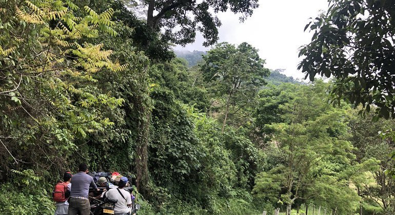 Un año de conflicto en Catatumbo