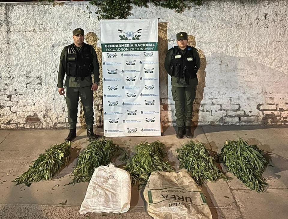 Resultados de controles en Mendoza y Córdoba