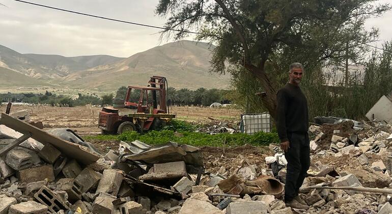 Acusaciones de crímenes de guerra en Cisjordania; Israel afirma haber utilizado sustancias químicas en Líbano; informes sobre mutilación genital; noticias del viernes