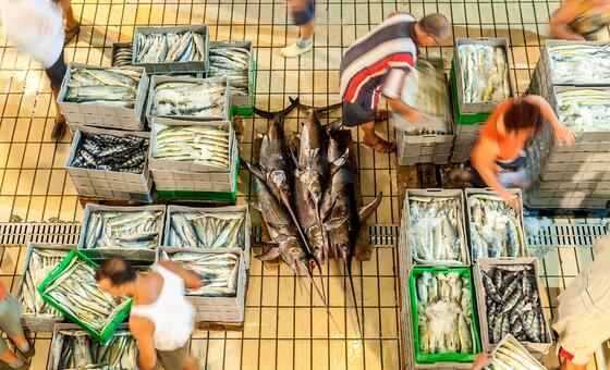 Cambios en las reglas del comercio global: quiénes ganan y quiénes pierden