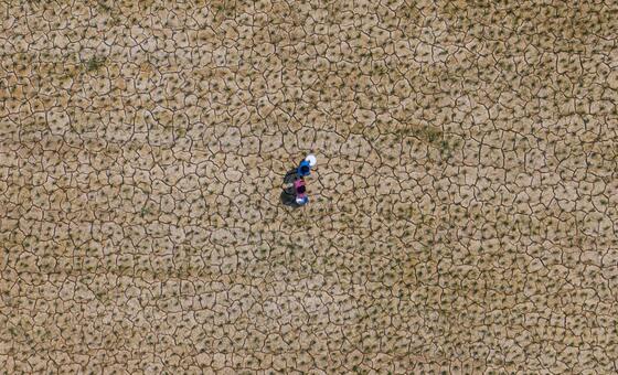 Avances sociales en Asia-Pacífico, eclipsados por el deterioro ambiental y la desigualdad