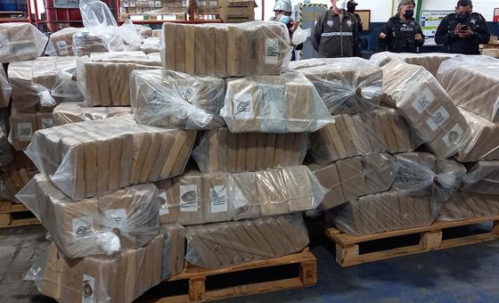 Alerta de la ONU impide envío que, según la organización, podría haber generado 1.600 millones de dosis de fentanilo