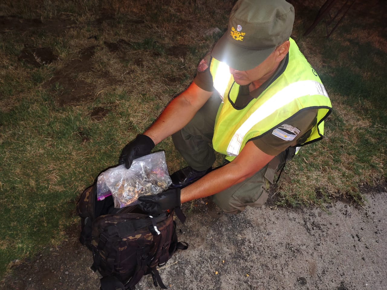 Córdoba y San Luis: incautan hongos alucinógenos y un arma de fuego tras tres procedimientos