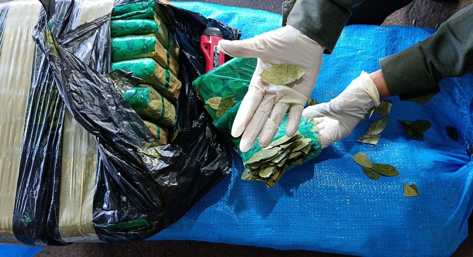 Santa Fe: inspeccionan camión y hallan cargamento de 1.912 kilos de hojas de coca