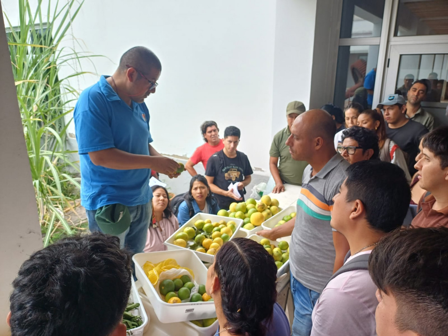 Curso para inspectores de empaques de fruta cítrica fresca destinado a exportación desde Salta y Jujuy
