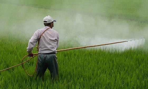 Experto denuncia injusticia ambiental en México en zonas de sacrificio