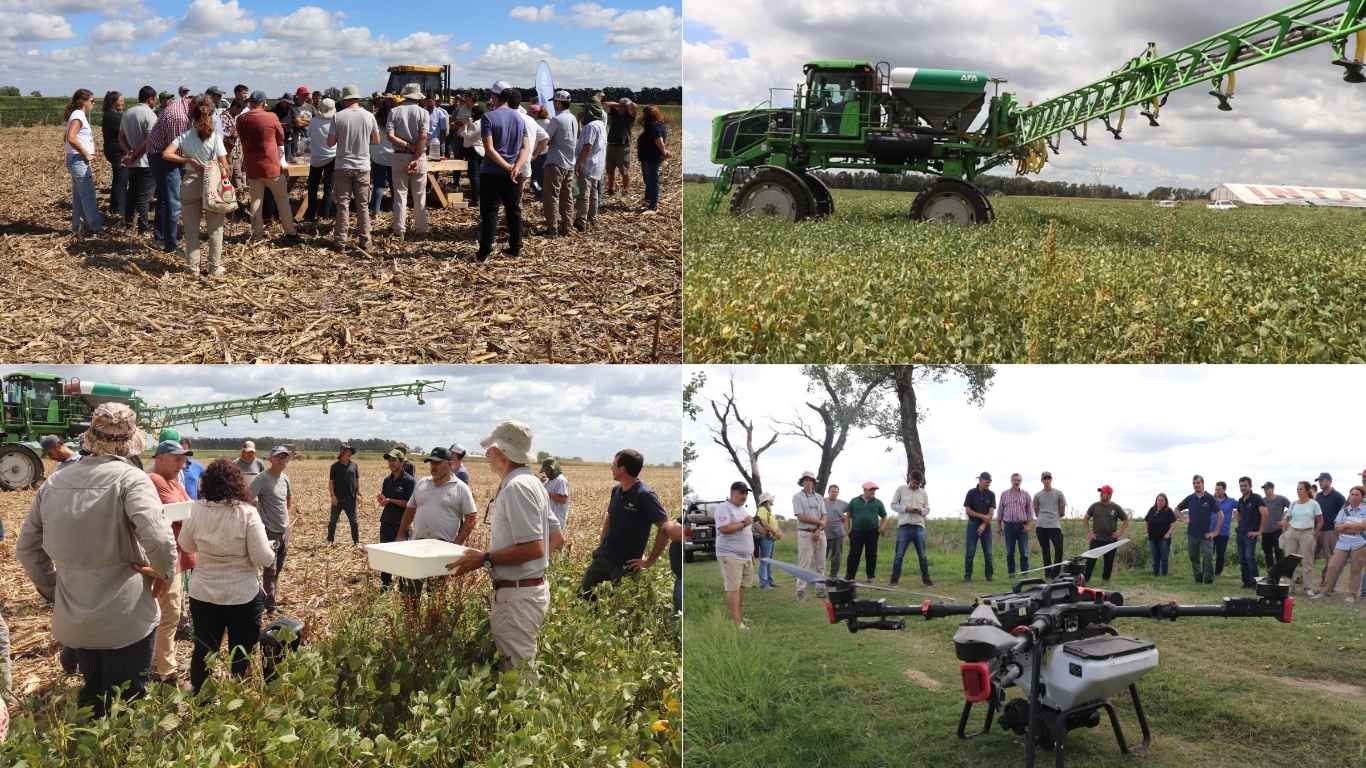 Jornada sobre alfalfa y cultivos de cobertura en INTA Oliveros