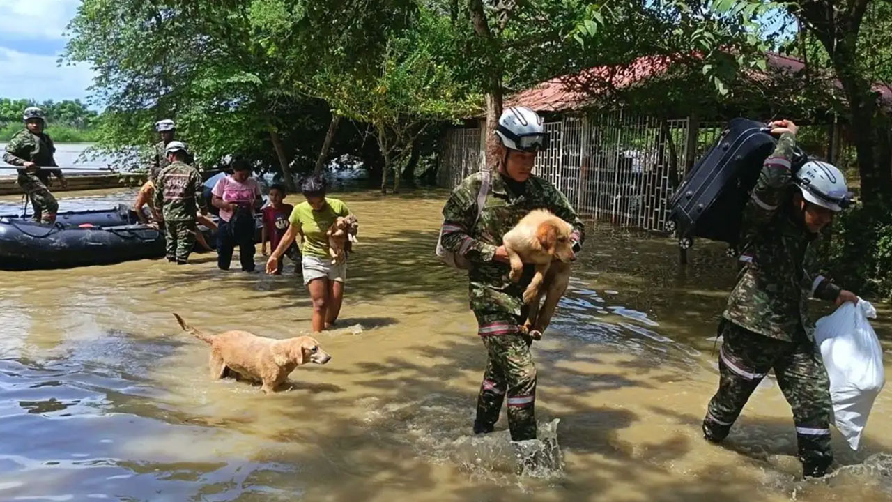 El Ejecutivo de Colombia crea Comisión de Protección animal para situaciones de emergencia