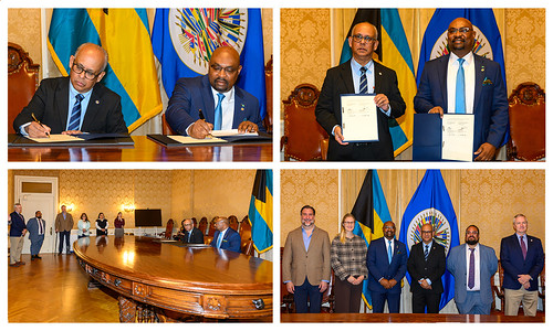 OEA observará las elecciones generales en Las Bahamas