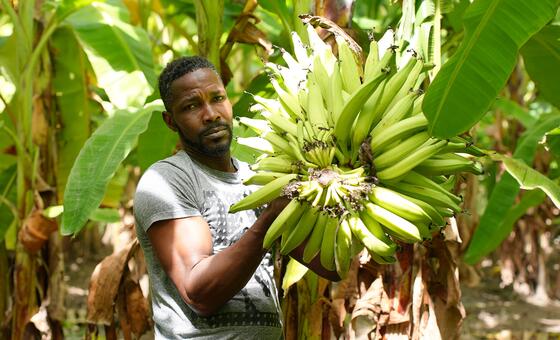 América Latina y el Caribe se acostumbran a un crecimiento económico moderado