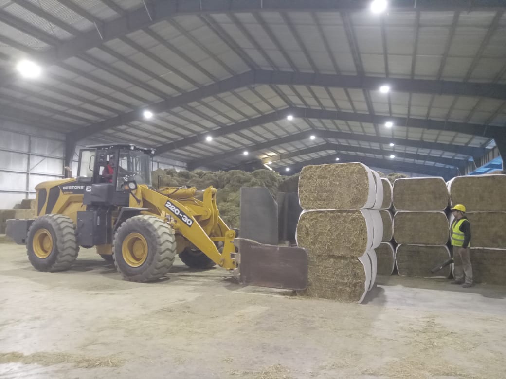 San Luis: Envío inicial desde Candelaria de 500 toneladas de fardos de alfalfa a China