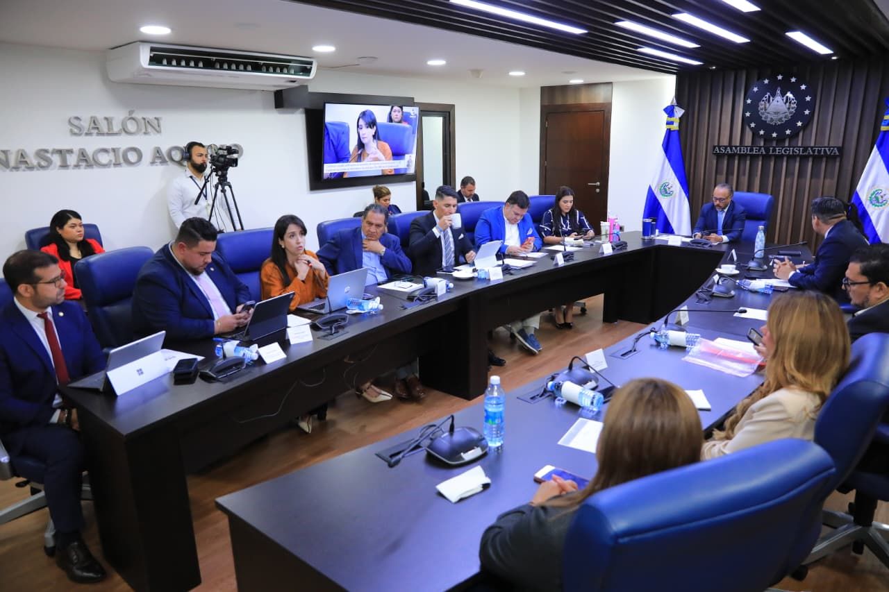 Ministerio de Relaciones Exteriores, RNPN y TSE brindan opinión técnica sobre representación de la diáspora en Asamblea Legislativa