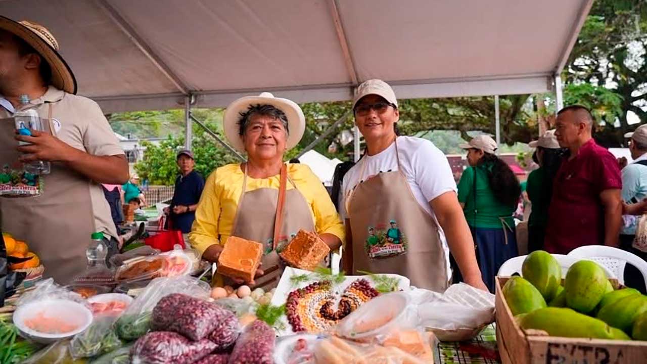 Café de mujeres de Planadas, Colombia, llega a mercados internacionales con sello de paz y desarrollo rural