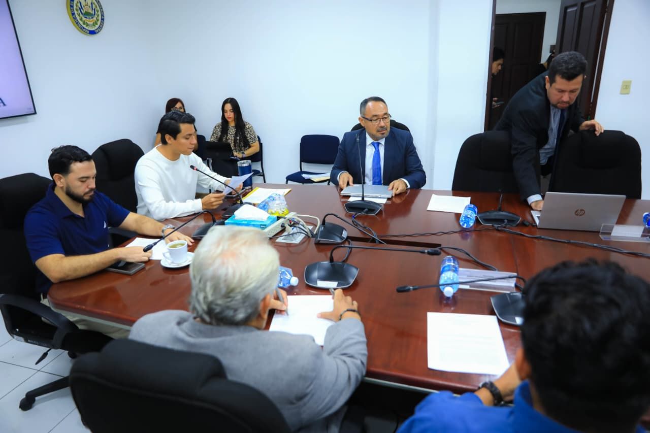 Diputados respaldan mantener la estabilidad del precio del gas licuado
