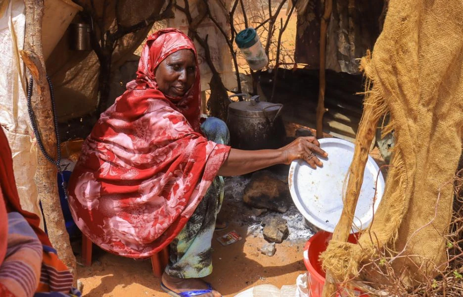 ¿A qué país objetivo quieres adaptar este título? ¿Somalia, Etiopía (incluida la Región Somalí) u otro país de la región? Indícame también si prefieres un enfoque específico (desplazados, sequía, respuesta humanitaria, etc.).