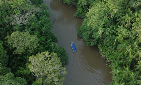 Sudamérica registra la mayor pérdida de bosques del planeta en la última década
