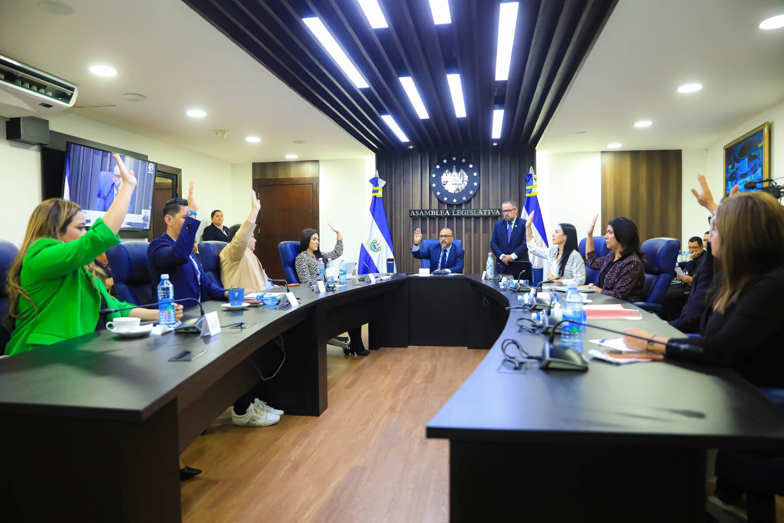 El Salvador: estudio para ratificar reforma constitucional para elecciones legislativas en el exterior y magistrados del TSE