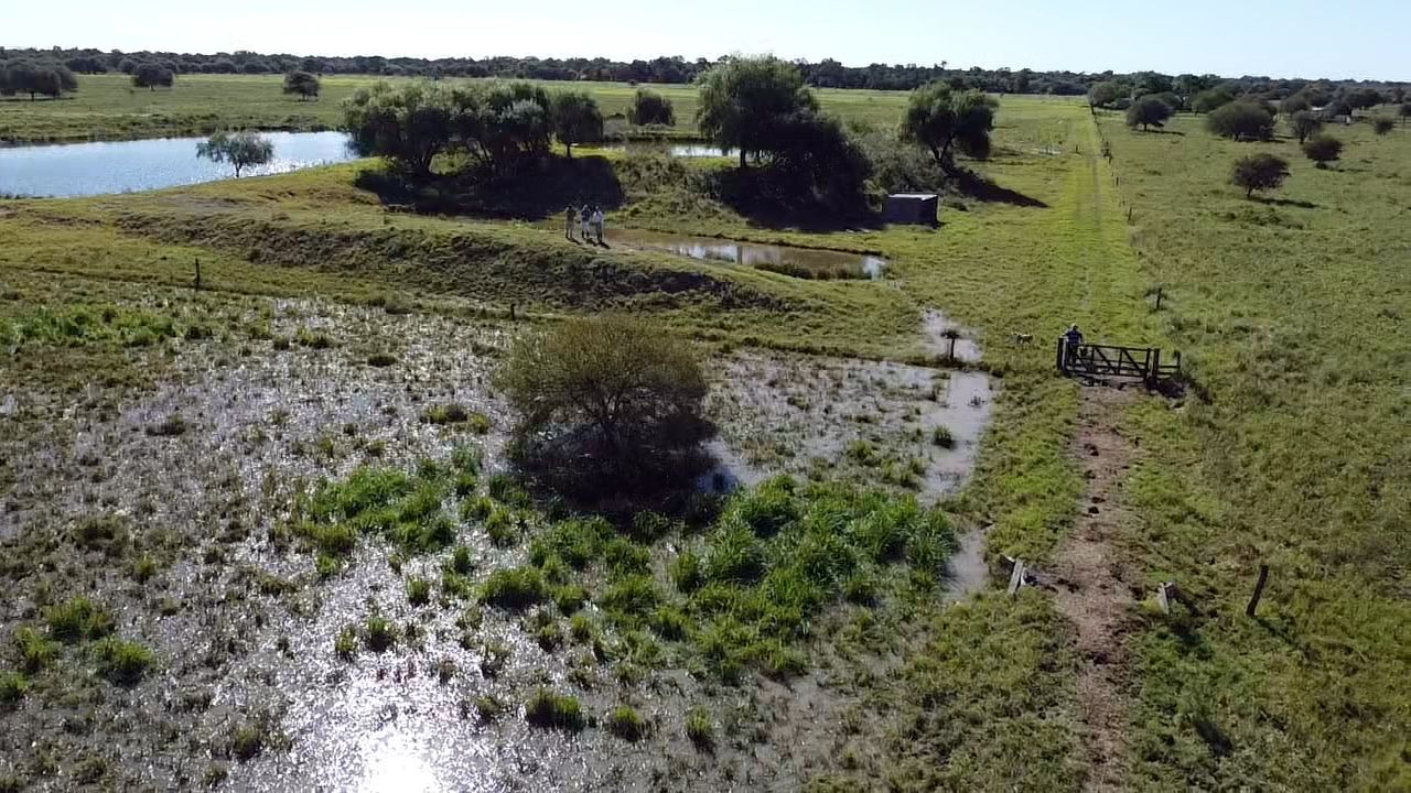 INTA destacó avances en manejo ganadero con pastoreo rotativo en campos inundables del sur de Chaco, Argentina