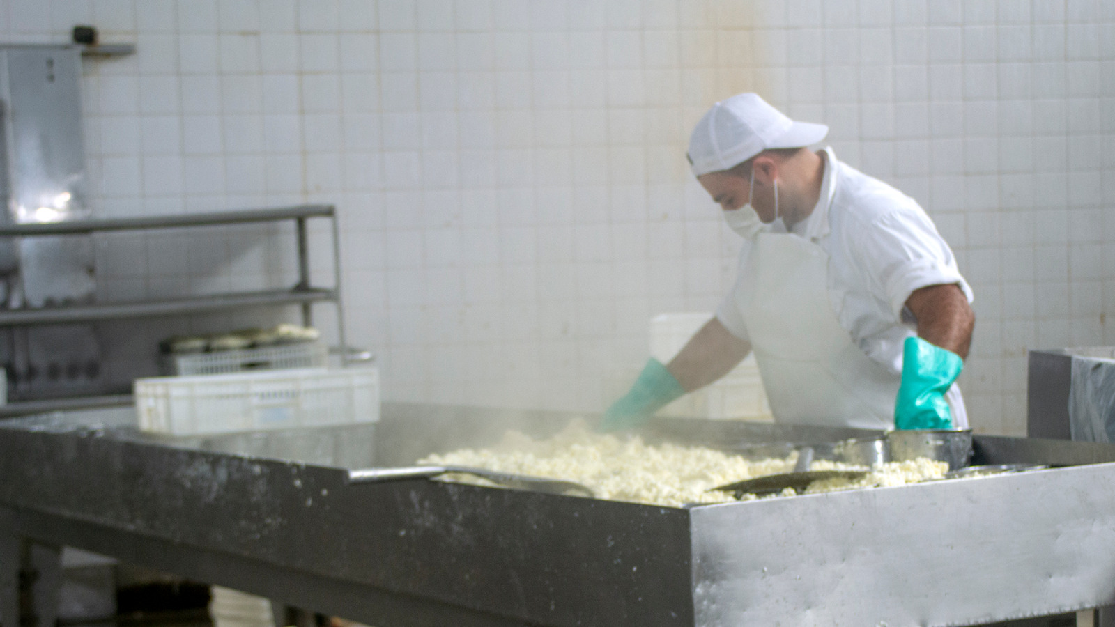 Actualización y modernización de la normativa sobre la elaboración de margarinas