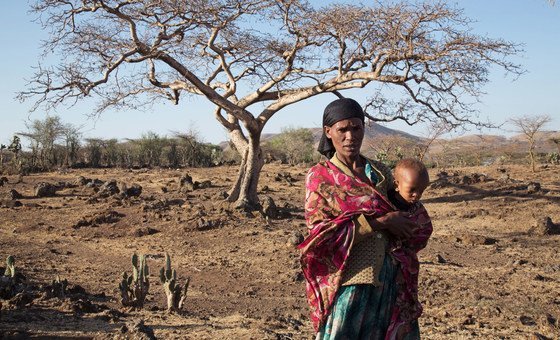La OMM confirma un 80% de probabilidad de aparición de El Niño, que provocará fenómenos meteorológicos extremos