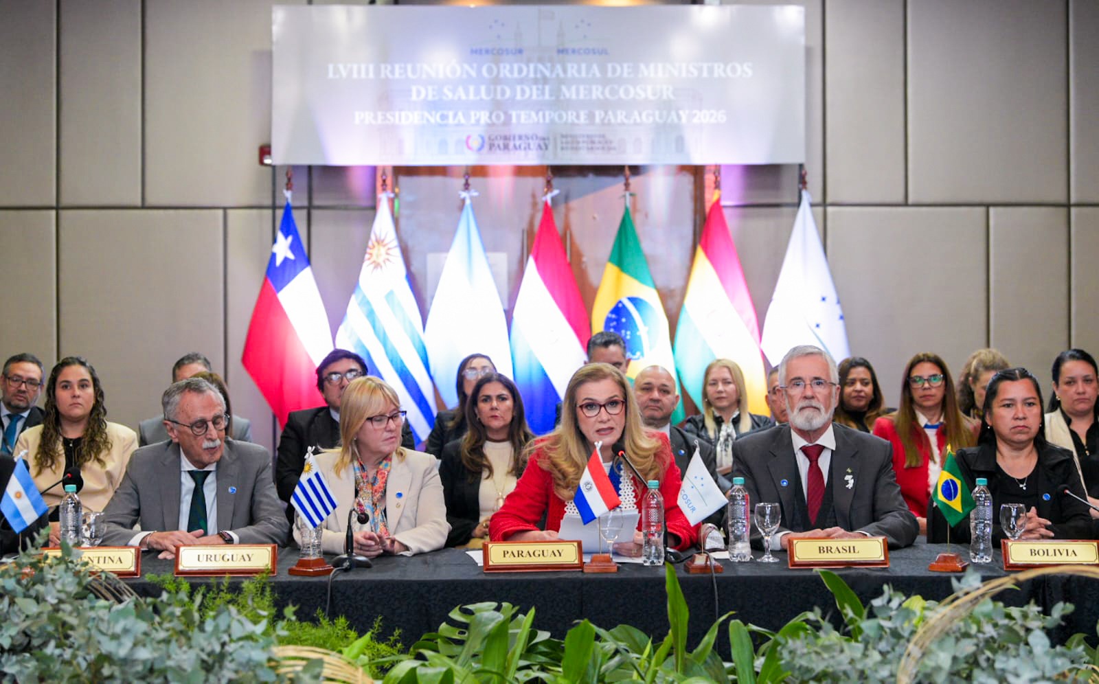 Ministros de salud del Mercosur acuerdan fortalecer la producción regional de insumos, medicamentos y nuevas tecnologías