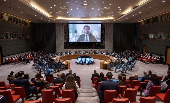 Experto de la ONU propone que la IA se desarrolle bajo licencia ante el Consejo de Seguridad