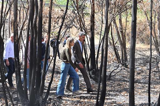 Pedro Sánchez reafirma el compromiso contra la emergencia climática en su visita a la zona afectada por el incendio de Niebla, Huelva, España
